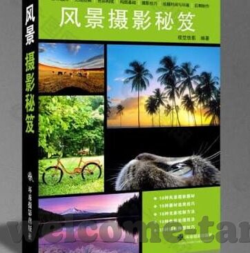 大象传媒官网网址-大象传媒，创意与激情的交汇点