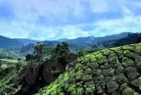国际麻豆文化传媒一区-提升国际视野，探索国际麻豆文化传媒一区的独特魅力