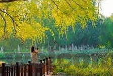 久久精品国产亚洲av麻豆成人-国产成人剧之麻豆，在艺术的边界与社会的反思下