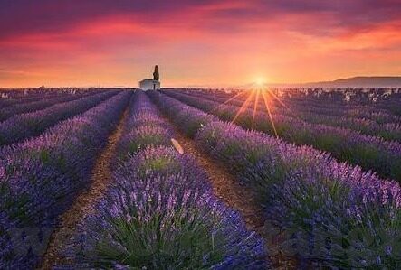 麻豆文化传媒app在哪里下载-体验麻豆文化传媒——发现创意与艺术的全新领域