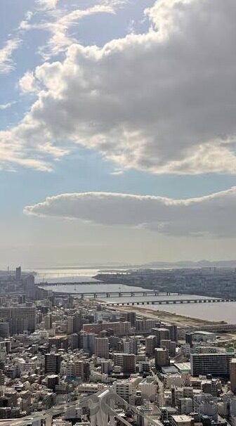 下载麻豆app-探索数字娱乐新领域，轻松体验下载麻豆app的魅力