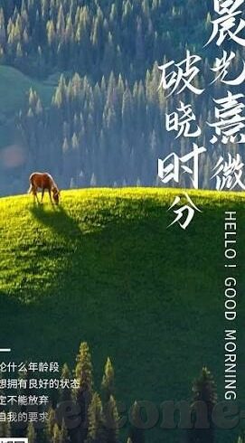最新2017年韩国伦理片在线-2017年韩国伦理片，光影下的社会镜像与人性探索